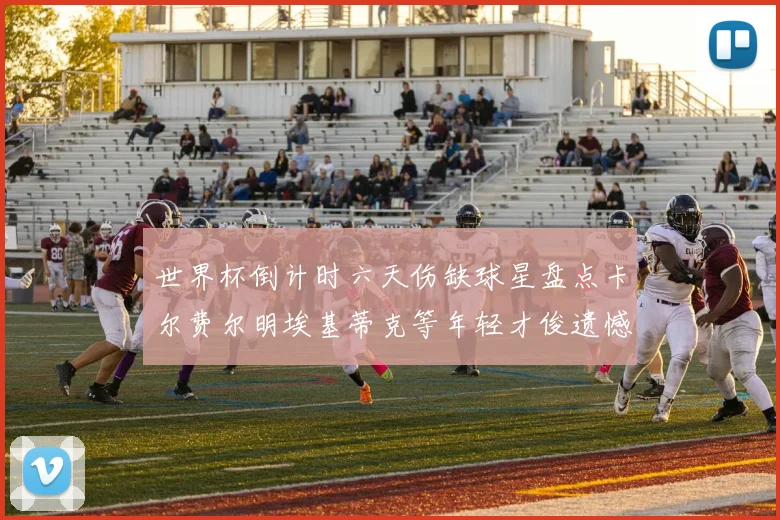 世界杯倒计时六天伤缺球星盘点卡尔费尔明埃基蒂克等年轻才俊遗憾缺席