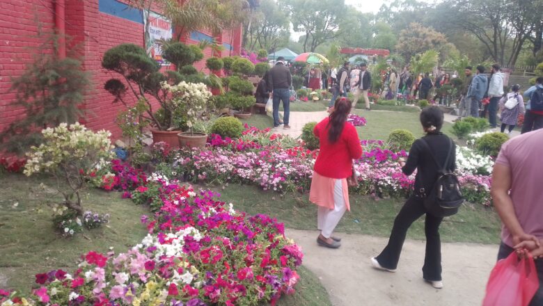 काठमाडौंको भृकुटीमन्डपमा जारी फ्लोरा एक्स्पोका दृश्यहरु हेर्नुहोस्
